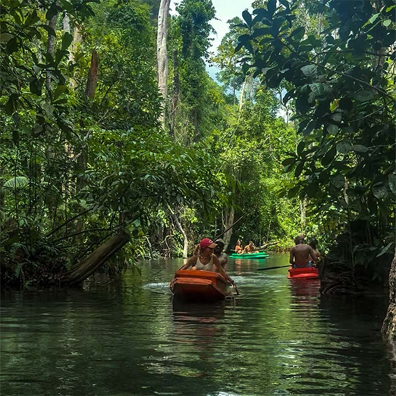 People paddling small colorful boats along a narrow jungle river surrounded by dense green foliage.